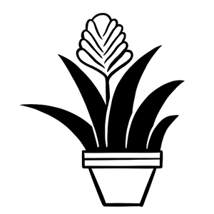 cat-icon