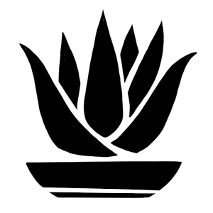 cat-icon